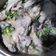 El cooksnap de guadalupe hernandez couoh cuando hizo Crema de Champiñones (Lata) con verduras.