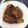 Cooksnap dari Bunda Indah 🐈 untuk resep Ayam Goreng Mentega