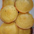 Cooksnap dari Camelia S untuk resep Martabak mini