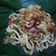Cooksnap dari olive bunda qonita untuk resep Mie Ongklok (khas Wonosobo)