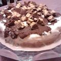 Solamentehector's cooksnap of when they made Chocolate Peanut Butter Ice Cream Torte.