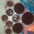 Cooksnap dari Siti Anisa untuk resep Agar agar chocolatos
