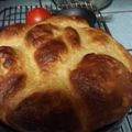 Shanon's cooksnap of when they made Hawaiian rolls.