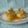 Cooksnap dari Selli Salbiah untuk resep RICE PUDING CARAMEL AYAM JAGO