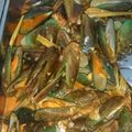Cooksnap dari Naina Khan untuk resep Kerang Hijau Saus Padang