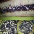Cooksnap dari siti nur hamidah untuk resep Martabak Manis Teflon #5resepterbaruku