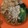 Cooksnap dari Fitri beppe untuk resep Mie Setan / Mie Iblis Level Pedas ala home made