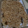 Cooksnap dari Nani Mulyani untuk resep Kacang Bawang