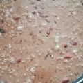 El cooksnap de Bea cuando hizo Tarta de Turrón Suchard.