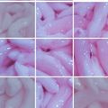 Cooksnap dari Ulya Khansa untuk resep Cendol ketan