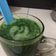 Cooksnap dari anceecu untuk resep #jus daun katuk busui👌