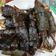 Cooksnap Nor Azlina semasa beliau membuat Ikan Bakar Cili-Kunyit dengan Air Asam Kicap.
