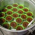 Cooksnap dari Vonzhu Yefta untuk resep Kue lumpang gula jawa