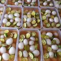 Cooksnap dari Eka Lestari untuk resep Asinan rambutan