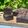 Cooksnap dari Nina Ninols untuk resep Brownies Pisang Panggang