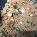 Cooksnap dari Simple kitchen untuk resep SOUN GORENG PEDAS ala dapurVY