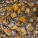 Cooksnap dari anne goretti untuk resep Babi Kecap