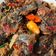 Cooksnap dari Yuyun yustia untuk resep Pesmol ikan mas