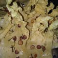 Cooksnap dari Dewi Andrian untuk resep Peyek Kacang Daun Jeruk