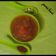 Purvi Baxi's cooksnap of when they made કાચી કેરી નો મુરબ્બો (Raw Mango Murabbo Recipe In Gujarati).