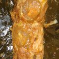 Cooksnap dari Ella untuk resep Pepes Jamur Tiram Pedas (NO MSG)