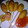 Cooksnap dari Siswaty Elfin Bachtiar untuk resep Corndog ala Kuwehbunda