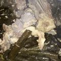 om rakan 's cooksnap of when they made كوسا وورق العنب.