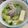 林大姐 的 皇帝豆排骨湯 cooksnap