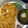 Mamta Malhotra का कुकस्नैप जब उन्होंने मक्के दी रोटी सरसो का साग(Makke di roti sarson ka saag recipe in Hindi) बनाया था।