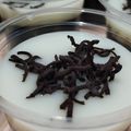 Cooksnap dari KäSih ㄌㄨㄤㄝ untuk resep Puding Coklat ala KFC