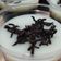 Cooksnap dari KäSih ㄌㄨㄤㄝ untuk resep Puding Coklat ala KFC