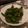 El cooksnap de Lucyner cuando hizo Pimientos de padrón en airfryer Cosori.