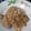 Cooksnap dari Fitri Wijayanti untuk resep Mie Goreng Shirataki ~ Menu Diet