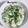 H Maigaree's cooksnap of when they made Cucumber salad.