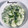 H Maigaree's cooksnap of when they made Cucumber salad.