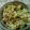 El cooksnap de MaryGlory cuando hizo Ensalada de col con queso.