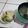 Cooksnap dari maya pram untuk resep Wonton Soup