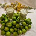 کوک اسنپ نیره اعظم زنجانی بعد از امتحان کردن نوشیدنی گوجه سبز و گلپر😍🤤🤩Green plum and angelica drink.