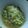 Cooksnap dari S.G.Hidayat untuk resep Tumis Labu Siam