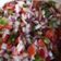 El cooksnap de Mariana Jimenez Gouvert cuando hizo Salsa Criolla.
