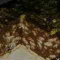 صورة من صابرين عبدالله، شاركها بعد تجربة وصفة ليزي كيك 🍃🍇