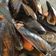 El cooksnap de Aurora Revenga Diaz cuando hizo Mejillones a la marinera.