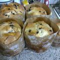 El cooksnap de tamiflav cuando hizo Pan dulce Argentino de navidad.