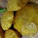 Shraddha Patel's cooksnap of when they made મસાલા પૂરી (Masala Poori Recipe In Gujarati).