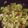 Mdudwana's cooksnap of when they made Summer green salad.