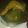 El cooksnap de Beelriios cuando hizo Pollo con mostaza y cerveza.