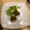 El cooksnap de JAZMIN ARTEAGA VAZQUEZ cuando hizo Croquetas de res rellenas de queso.