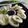 Cooksnap dari Maccby_kitchen untuk resep Cireng Bumbu Petis