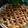 Cooksnap dari Rain Sagitarianingtyas untuk resep American Pie (Pai Apel)