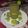 alpnavarshney0@gmail.com का कुकस्नैप जब उन्होंने अंगूर का जूस (Angoor Ka Juice recipe in hindi) बनाया था।
